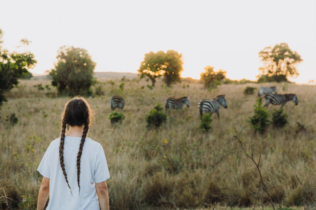 Unforgettable Adventures Await: Safaris and Tours in Tanzania